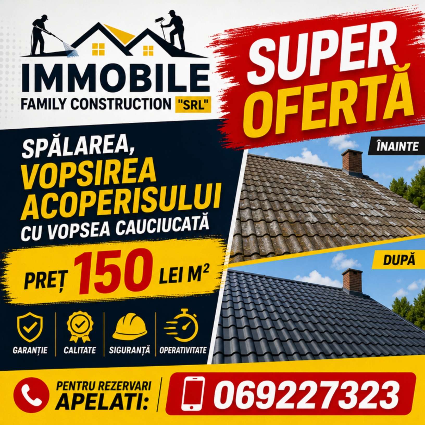 Spălarea  și Vopsirea acoperișului